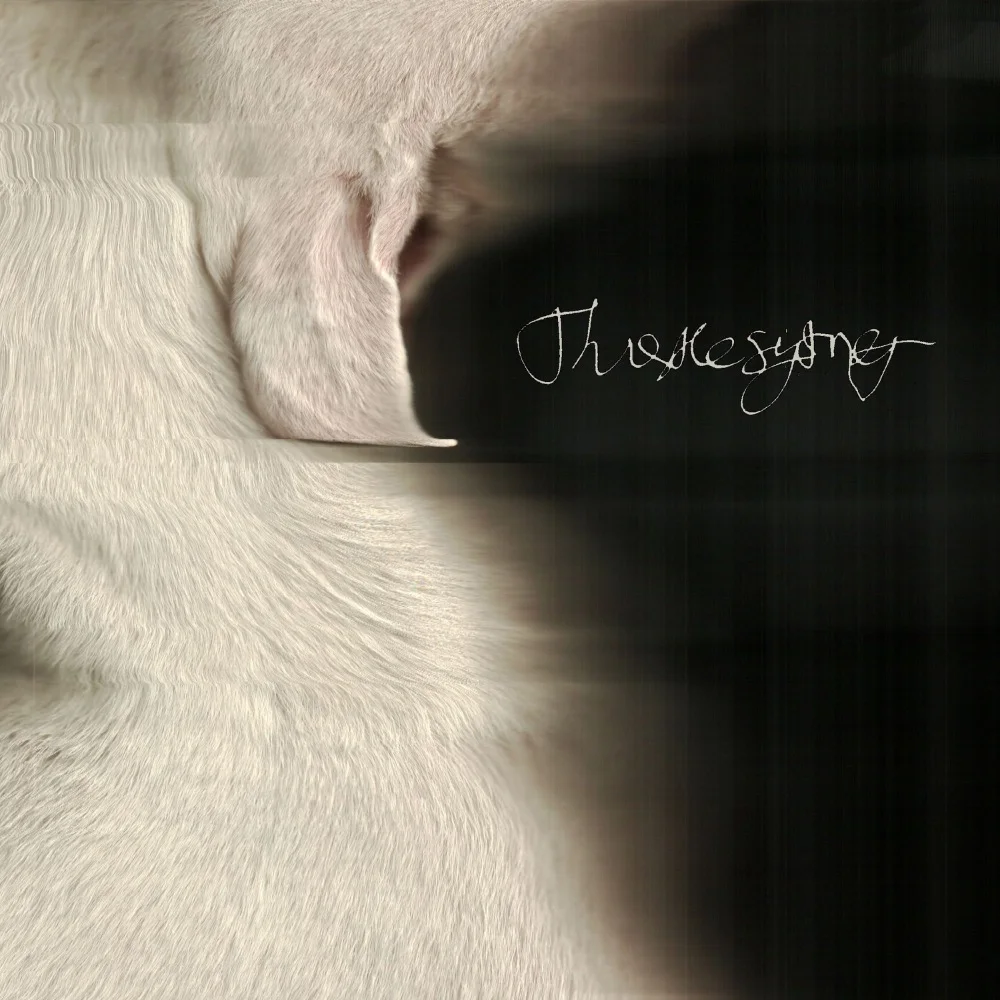 Album Artwork