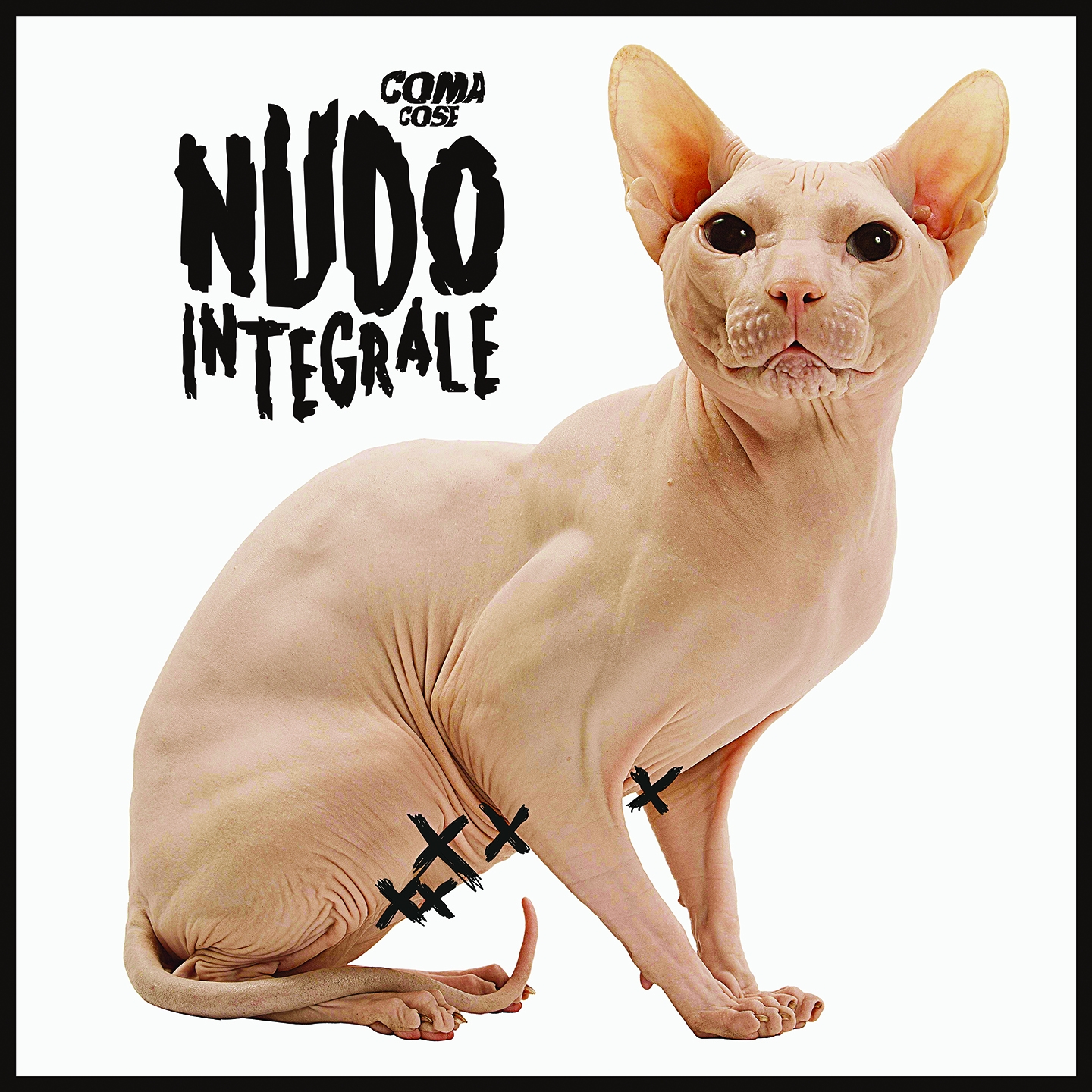 Nudo Integrale