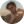 David Kushner Avatar