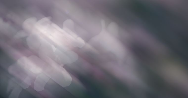 Morning Light album art