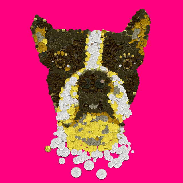 The Pixeldog Crypto Dog on Mars