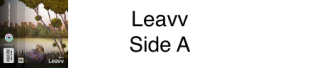 leavv-side-a