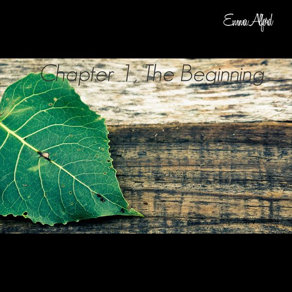 Chapter 1 The Beginning