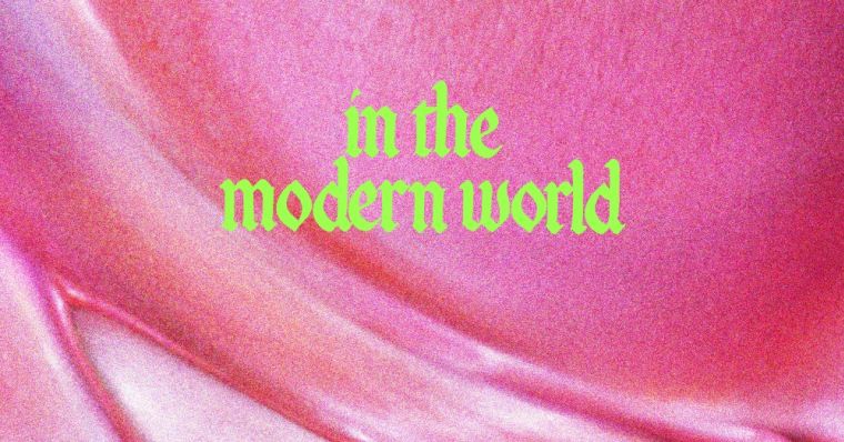 in the modern world fontaines dc music video meaning