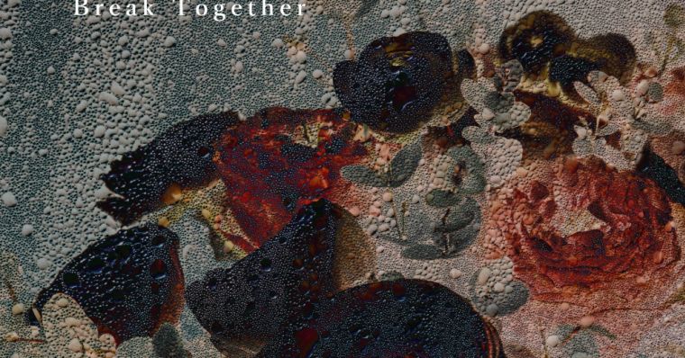 キュウソ、感覚ピエロ、KEYTALK 、ライブキッズ、セカオワ 感覚ピエロ / Break Together